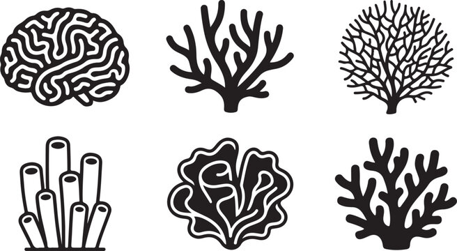 Six different coral and brain vector illustrations Vector