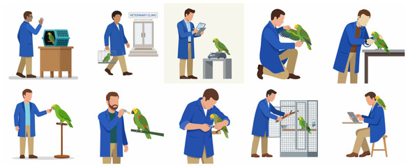 Fototapeta premium Avian veterinarian and parrot care illustration set featuring medical checkup, grooming, and feeding scenes