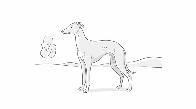 Naive Art Style Minimal Vector Illustration Featuring a Slender Greyhound Dog Within a Simplified Nature Landscape, Elegant Canine Silhouette Isolated on White for Contemporary Design Projects.