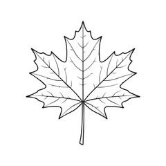 Fototapeta premium Detailed Maple Leaf Vector Icon Black and White Autumn Line Art 