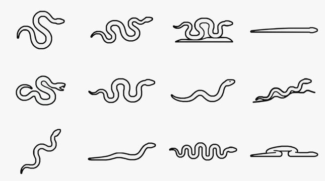 Abstract Worm Line Art Variations.