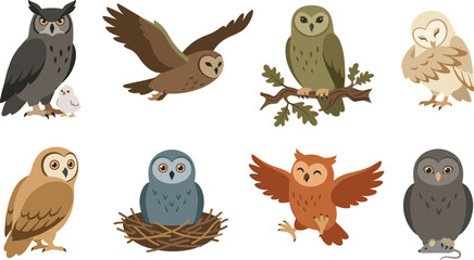 Obraz premium Different Owl Species Vector Character Set Featuring Barn Owl, Great Horned Owl, Flying, Sitting in Nest, and Catching Mouse for Wildlife Educational Designs
