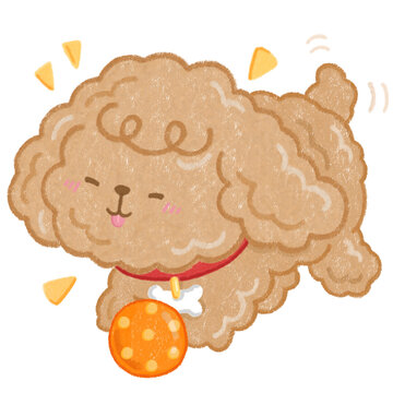 Playful illustration features a fluffy brown poodle happily wagging its tail and playing with an orange toy ball.
