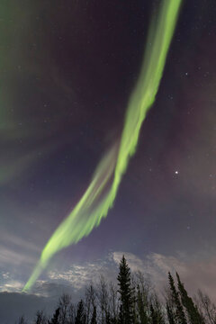 Aurora in interior Alaska