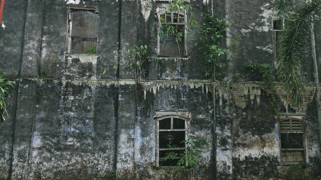 Abandoned colonial building facade in Papan Heritage Village, Malaysia. Weathered concrete walls with mold, broken windows overgrown with tropical plants and vines, historical ruin background.