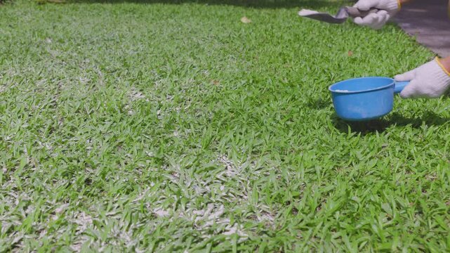 For lawn management, applying dolomite lime to the grass raises the soil pH, fixes acidity, and helps the grass absorb nutrients effectively.