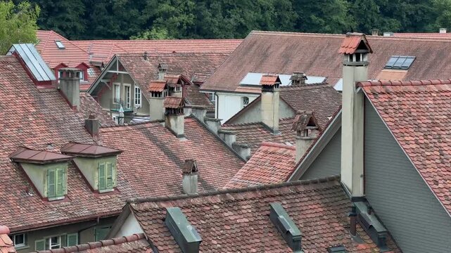 Static 4K view of traditional European rooftops with terracotta tiles, chimneys, and dormer windows. Quiet residential neighborhood bordered by a lush forest.
