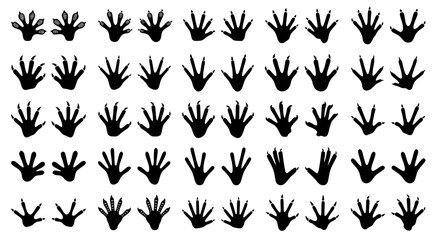 Fototapeta premium Set of fifty hand drawn animal and bird claw footprint silhouettes in black and white vector format for wildlife tracking and educational designs