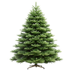 Fototapeta premium A lush green christmas tree standing as an isolated object on a transparent background isolated on transparent background