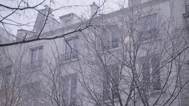 A Haussmann style apartment building in Paris seen through bare winter tree branches as light snow falls past the stone facade and iron balconies.