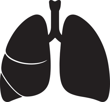 Human Lungs Silhouette: A stark black silhouette of human lungs, showcasing the intricate bronchial tree and lobar structure, symbolizing respiration and health.