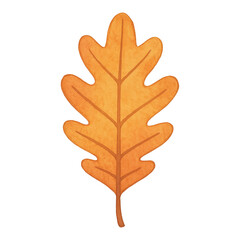 Obraz premium PNG Autumn oak leaf illustration art.