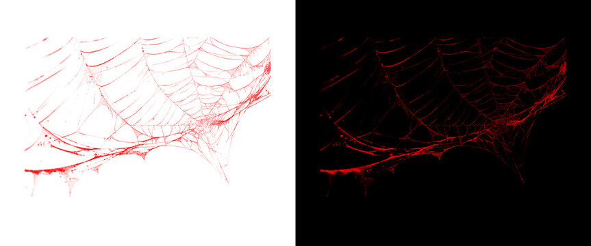 Red spider web texture on black and white backgrounds, spooky cobweb design elements, creepy blood red spiderweb for halloween horror decor
