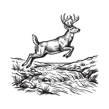 A wild deer jumping over a flowing river in the woods