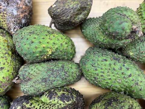 Fresh whole soursop fruits displayed together, featuring their distinctive green spiky skin and tropical appearance.