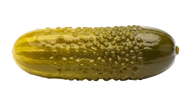 Pickle cucumber