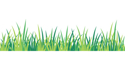 Fototapeta premium Patch of vibrant green grass blades is illustrated horizontally across the center of a plain white background.
