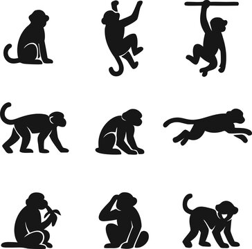 Professional monkey silhouette vector collection with anatomically accurate primate profiles and bold minimalist styling. Ideal for zoo graphics, educational resources, conservation projects, merchand