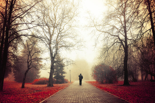 Autumn park alley landscape - moody and atmospheric November background with the silhouette of a lone unidentified man walking down a paved brick path in dense fog