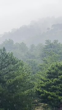 Relaxing Rainy Cave View with Zen Balancing Stones and Foggy Mountain Landscape