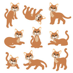 Obraz premium Cute cat illustration material collection,