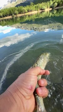 Catch, Appreciate, and Release: Respecting the Water's Giants