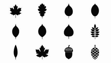 Black and white minimalist botanical leaf and acorn vector illustration collection with evoking nature s simplicity elegance modern contrast collection twelve © Suranjana