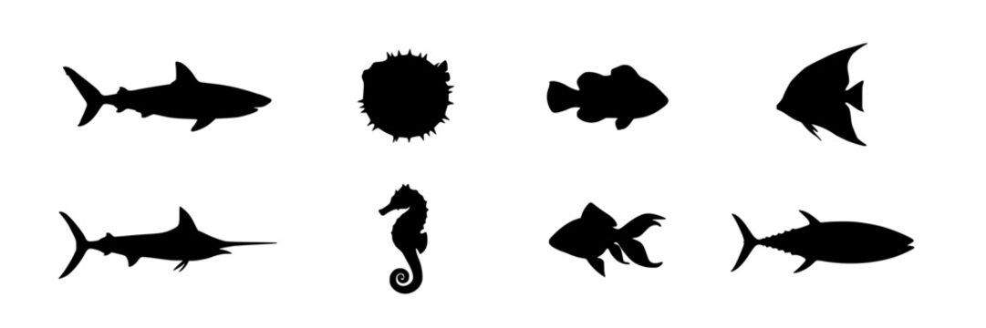 Fish Silhouettes in Black and White Showing Various Species Featuring Marine, Ocean, Sea with Aquatic and Animals Elements