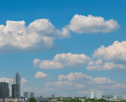 Rotterdam City Skyline with Blue Sky