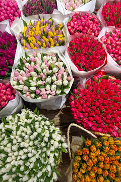 Colorful tulip flowers arranged in baskets at a local market during spring near the city center