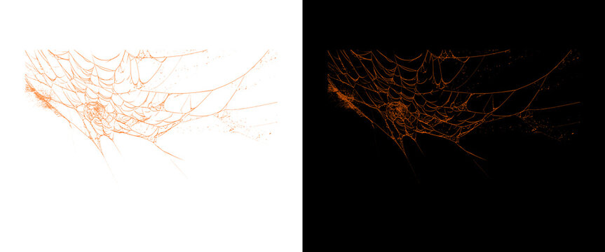 Orange spider web texture on white and black backgrounds, spooky halloween cobweb design elements, glowing orange spiderweb for horror themes