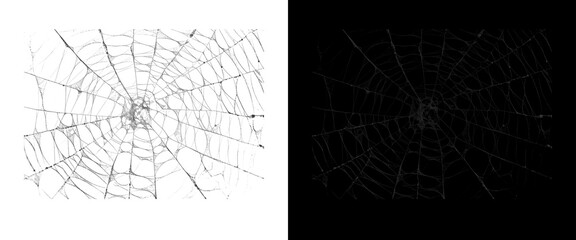Fototapeta premium Spider web texture overlay set, intricate cobweb patterns on black and white backgrounds, spooky halloween design elements for horror and nature projects