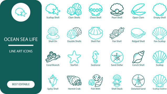 Ocean sea life icons set. Minimal silhouette vector collection of shells, starfish, seahorse and sand dollar for marine design