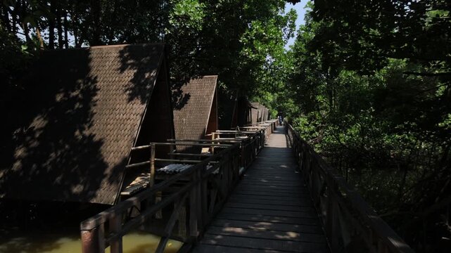 Wooden boardwalk footbridge leading through a dense green mangrove forest tunnel over calm wetland waters on a sunny day.