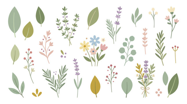 Minimalist green garden herbs and leaves set.