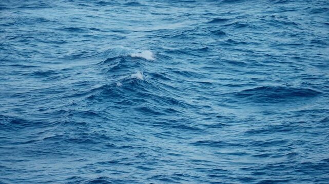Deep blue ocean waves roll gently across the open sea with small white foam crests breaking on the surface. The endless expanse of water shows natural wave patterns and ripples.