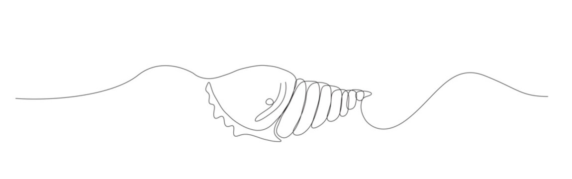 continues Line sea shells spiral illustration for marine art