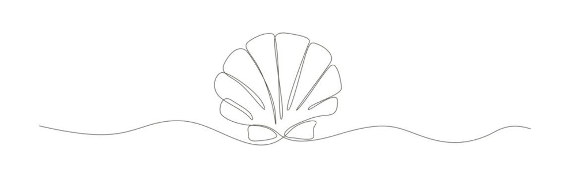 Seashells single line art drawing featuring elegant scallops