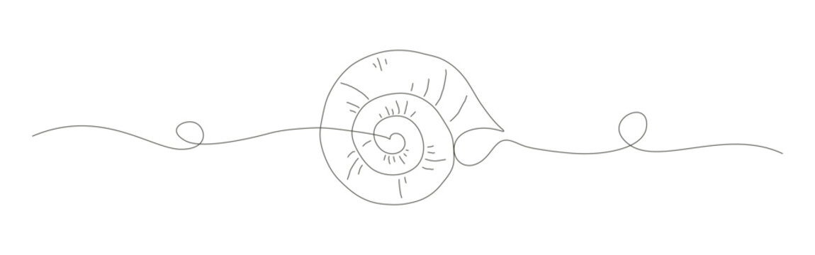 Spiral seashells depicted in a single continuous black line minimalist artistic illustration