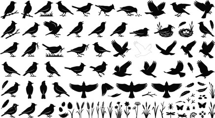 Naklejka premium Bird Silhouette Collection Vector Set, Flying and Perched Wild Birds Black Silhouette Clipart Isolated on White Background