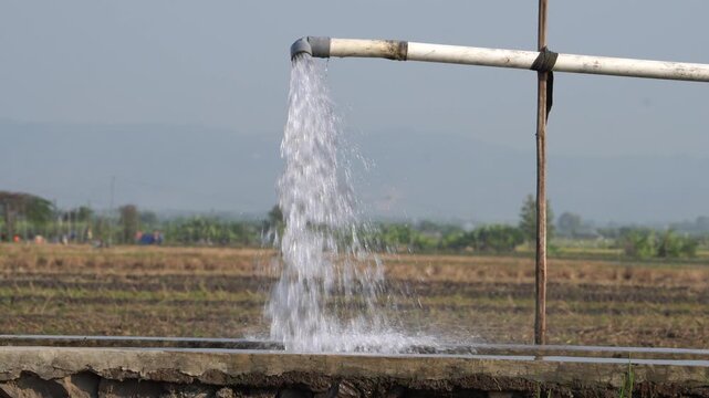 Water flows from a PVC pipe, pumping groundwater to irrigate a vibrant green rice paddy field, showing agricultural technology in a rural Southeast Asian farm landscape with a focus on splash.