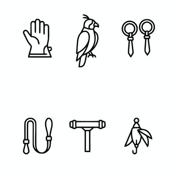 Falconry equipment and bird line icons set.