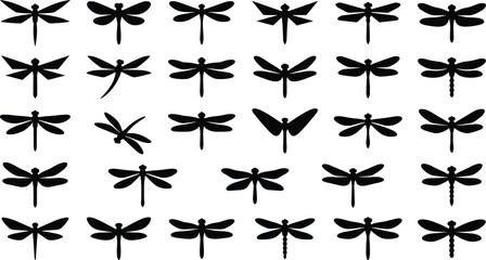 Dragonfly Silhouette Collection Set with Flying Insect Black Vector Icons and Nature Shapes © Mokshad Ali