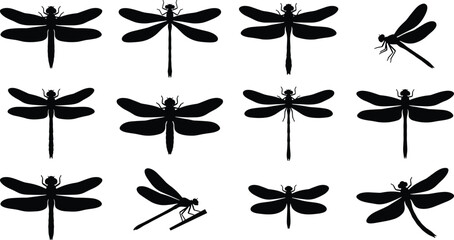 Dragonfly Silhouette Collection Set with Flying Insect Black Vector Illustrations and Nature Elements © Mokshad Ali