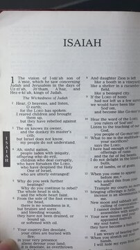 Opening to the Book of Hosea of the Old Testament in the Holy Bible. New Revised Standard Version. Vertical video.