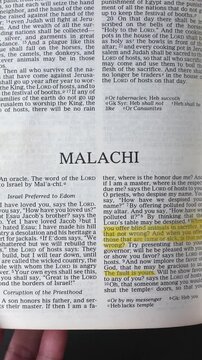 Opening to the Book of Malachi of the Old Testament in the Holy Bible. New Revised Standard Version. Vertical video.