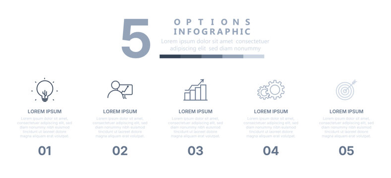 Minimal Five Step Business Infographic Template with Line Icons, Process Timeline and Data Flow