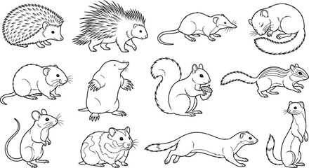Fototapeta premium Small Mammals Outline Vector Collection Featuring Rodents, Hedgehogs, Squirrels and Weasels