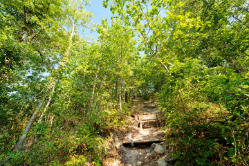 Obraz premium The GR11 long-distance hiking trail in the Regional forest of Etrechy. Île-de-France Region