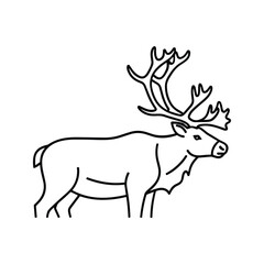 Fototapeta premium Deer Stag Line Art Illustration for Nature Designs and Branding